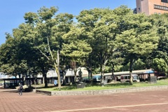 20250917鳥取市12