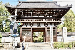 20071103右京区28