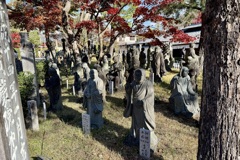 20241129右京区10