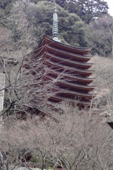 20100103桜井市03