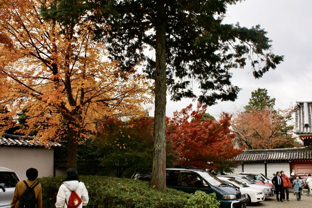 20071123左京区06
