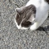 20190124木津川市22