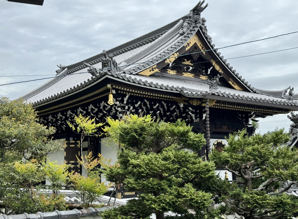 20240427西京区06