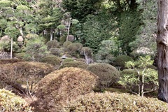 20210316埼玉県吉見町02