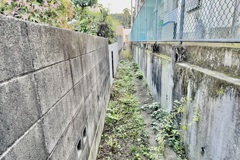 20241203松山市92