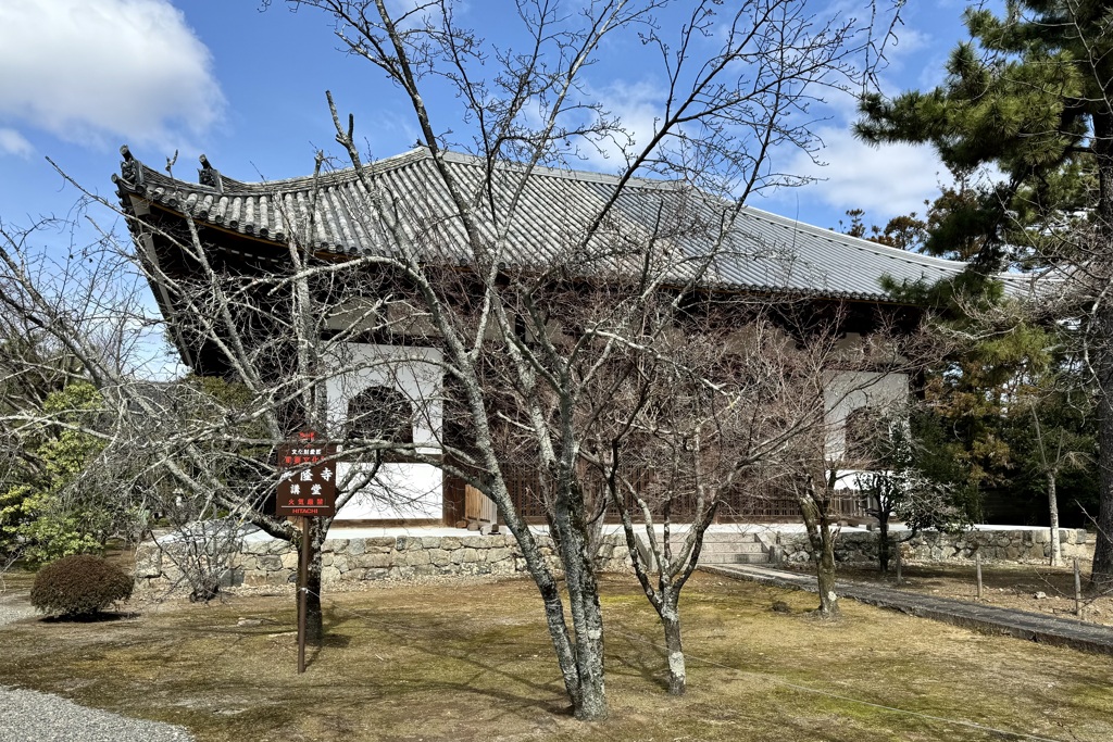 20240307右京区29