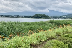 20190722富士河口湖町40