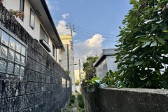 20241203松山市93