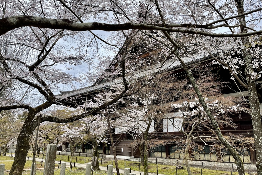 20230325左京区18