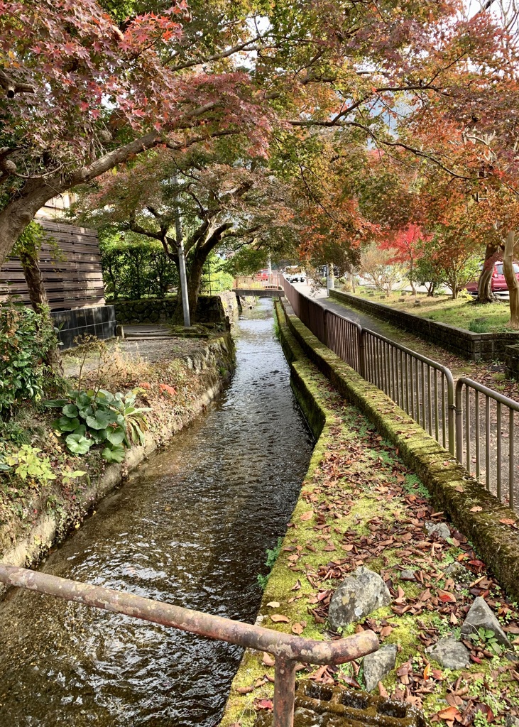 20191124左京区08
