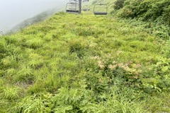 20040808長野県白馬村33