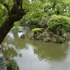 20090503太宰府市09