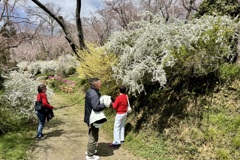 20250404京都市北区24