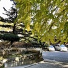 20211130小松島市03
