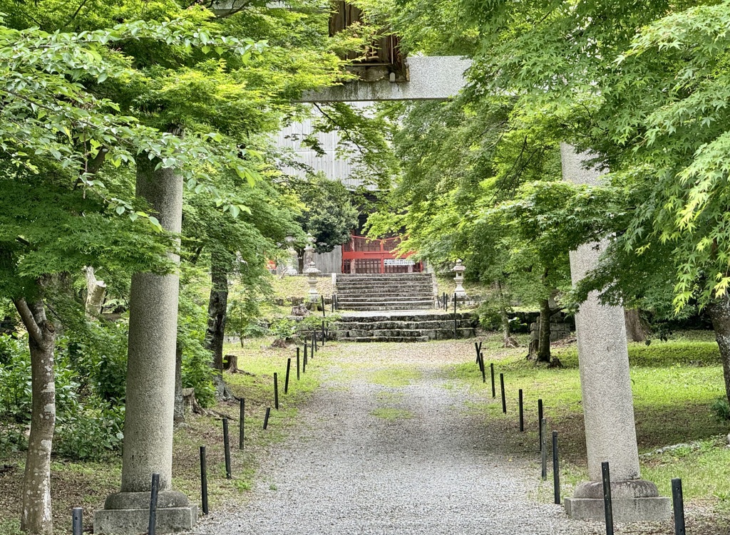 20240506彦根市13