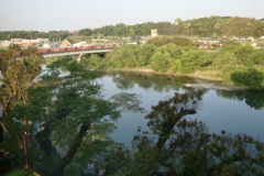 20090501宇佐市01