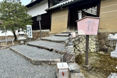 20240402山科区06
