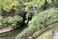 20241023左京区30