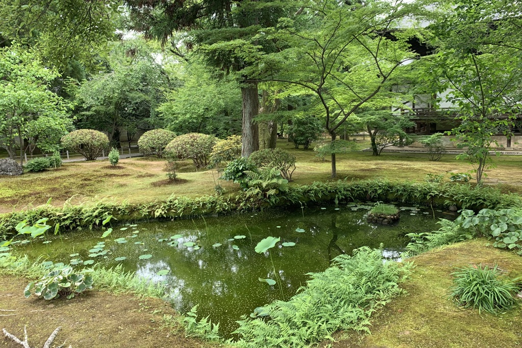20190609右京区02