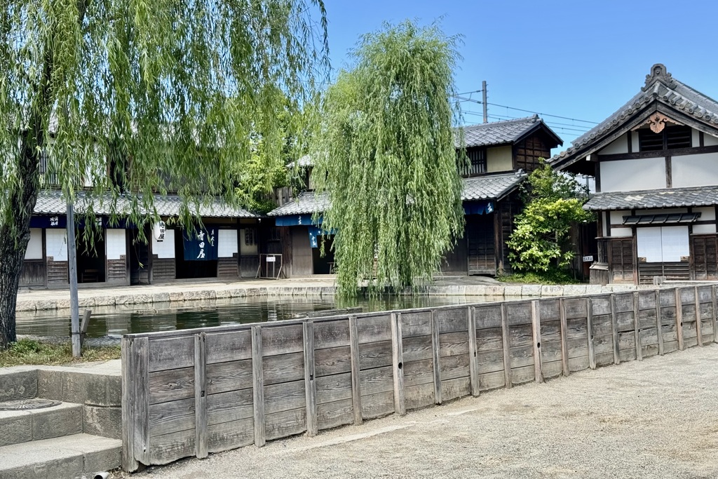 20240529右京区05