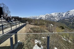 20250508白馬村25