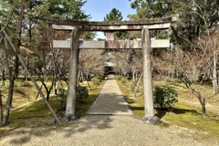 20240330右京区11