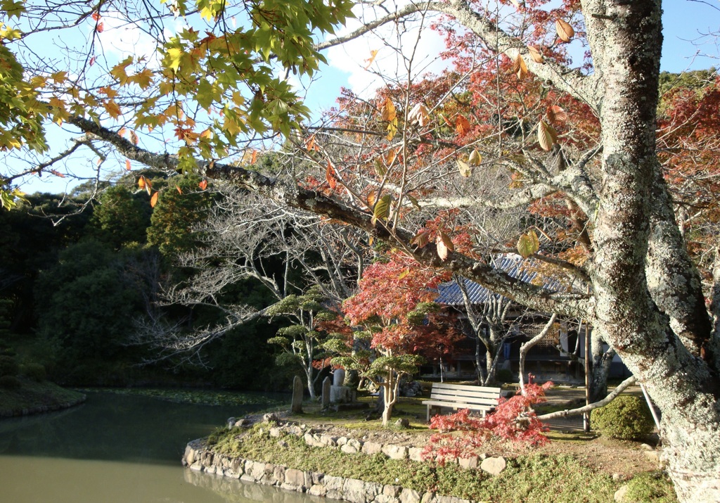 20091114岩出市03