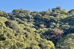 20241204松山市c10