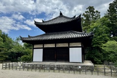20240604斑鳩町04