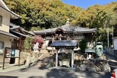 20241204松山市c29