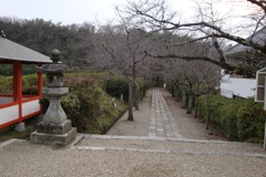 20091224桜井市04