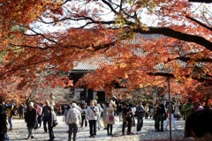 20181125左京区05