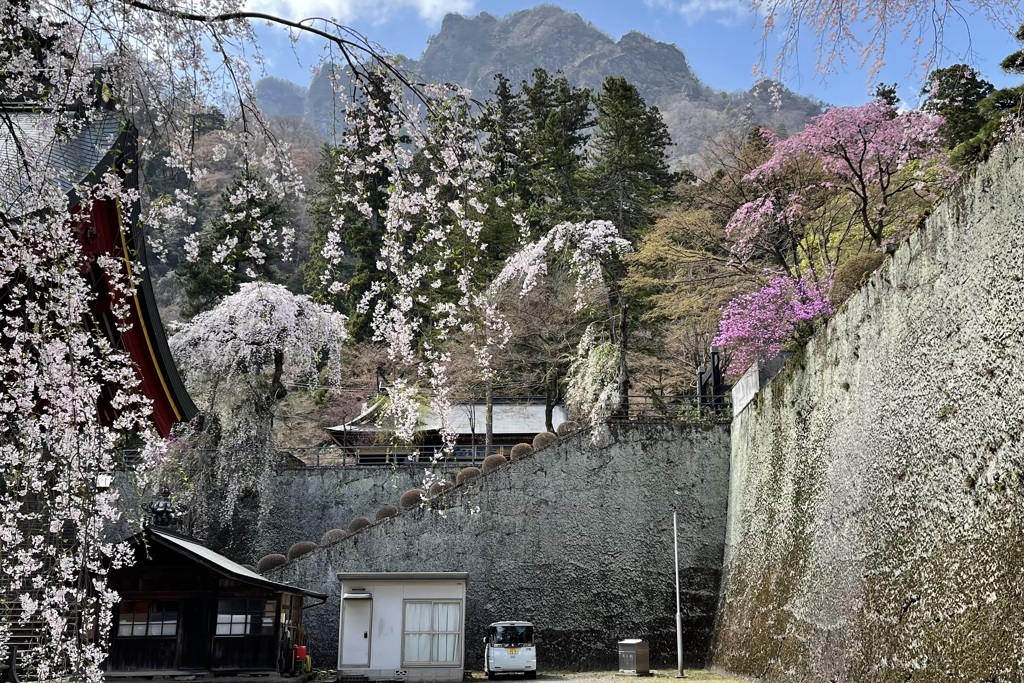 20230328富岡市22