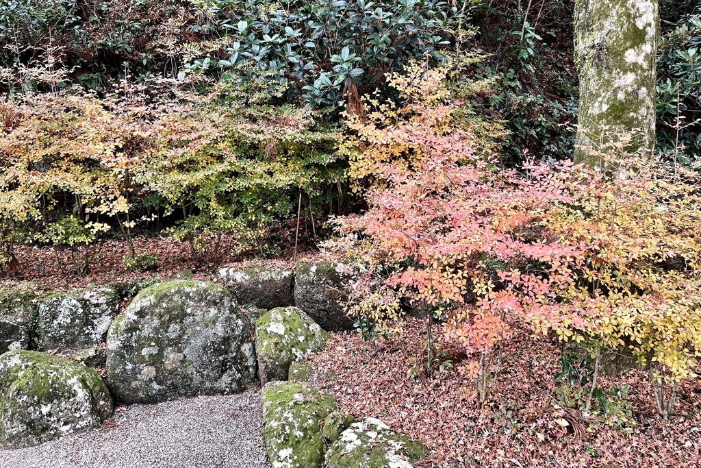 20211130徳島県勝浦町01