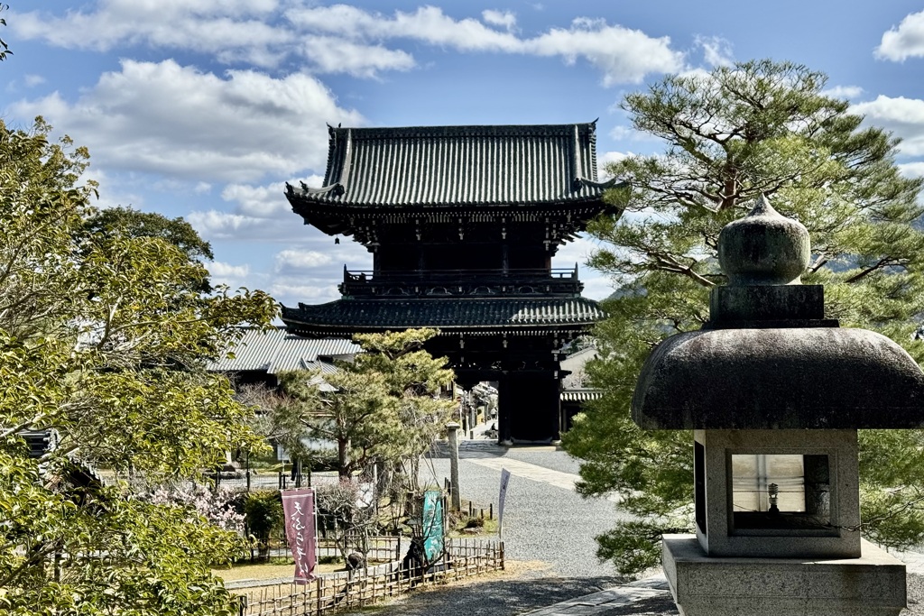 20240310右京区24