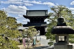 20240310右京区24