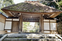 20230306左京区01