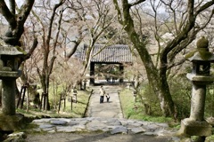 20070328朝倉市27