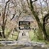 20070328朝倉市27