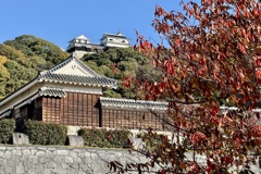 20241204松山市c13