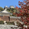 20241204松山市c13