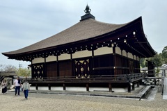 20240415右京区27