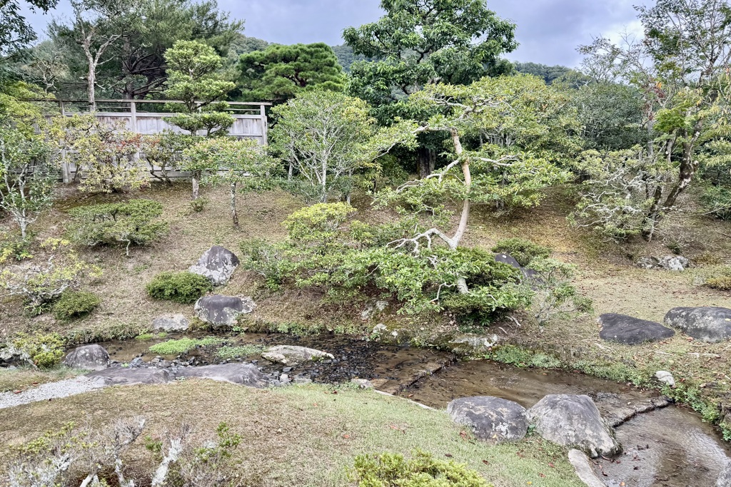 20241023左京区12