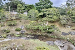 20241023左京区12