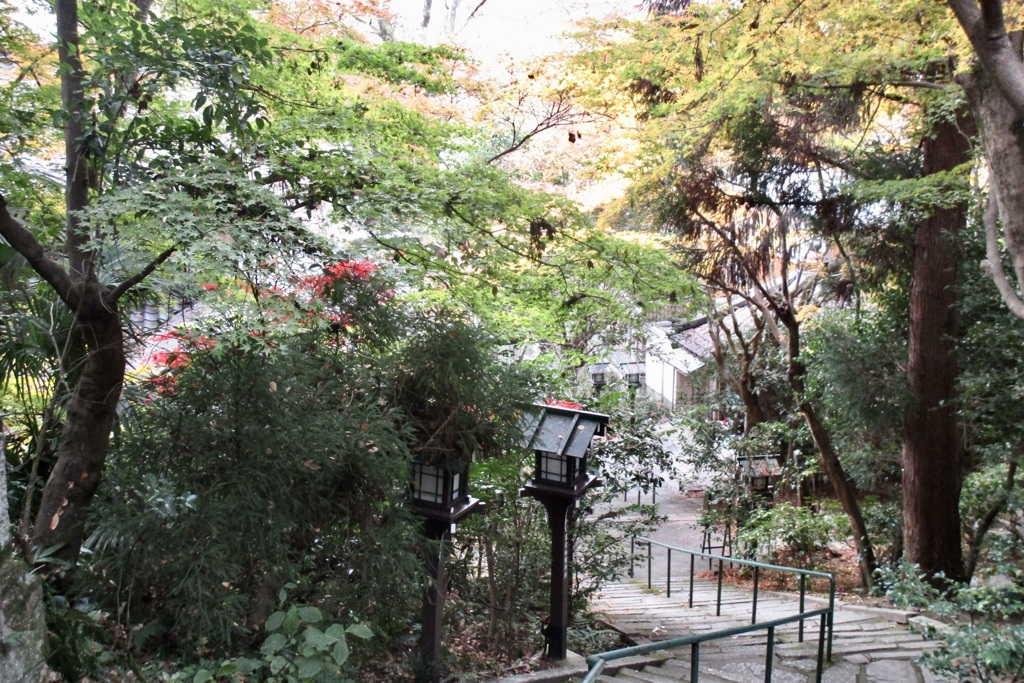 20181130東山区11