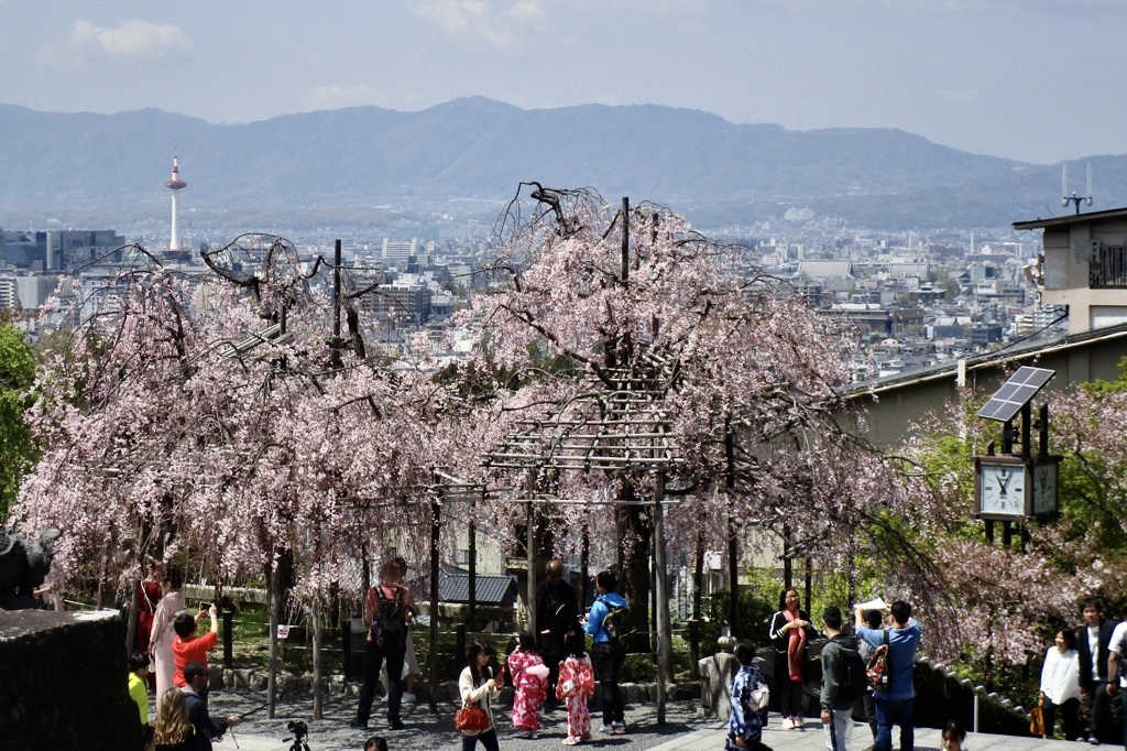 20190418東山区07