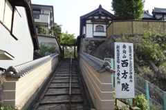 20130427大阪府太子町02
