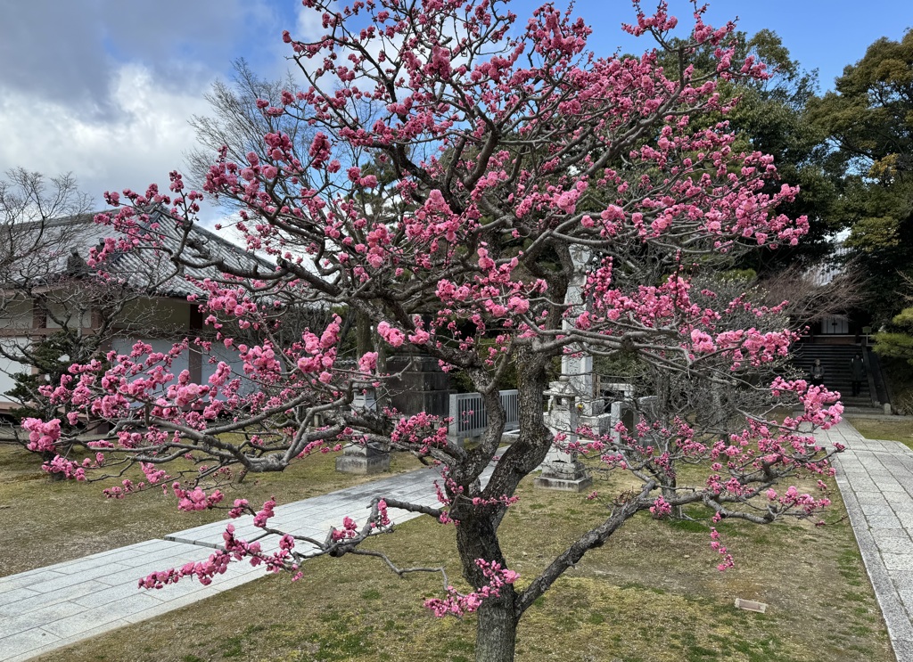 20240309東山区09