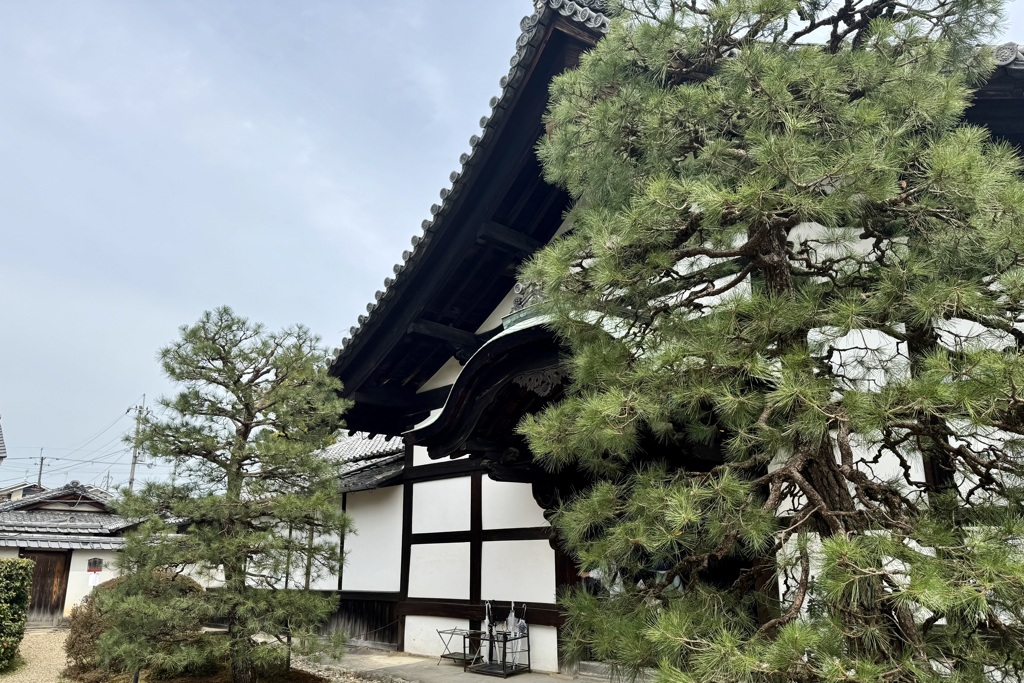 20240402山科区10