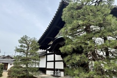 20240402山科区10